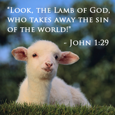 How The Lamb Heals Us